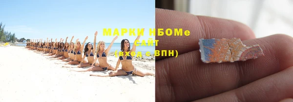 индика Баксан