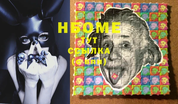 индика Баксан