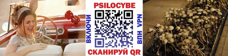 Псилоцибиновые грибы MAGIC MUSHROOMS гидра рабочий сайт Мичуринск